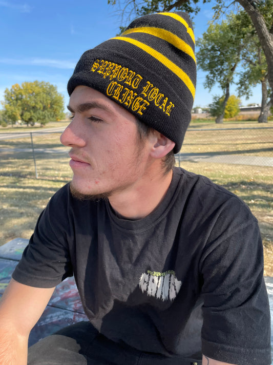 Striped fleece lined beanie